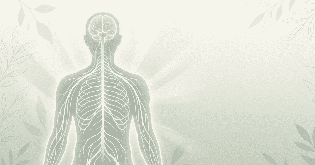 Regulation helps the body shift between stress and recovery.